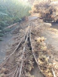 Услуги портера: Вывоз мусора,вывоз мусора🗑️🗑️🗑️Вывоз мусора🗑️🗑️🗑️вывоз мусора Грузовые — 16