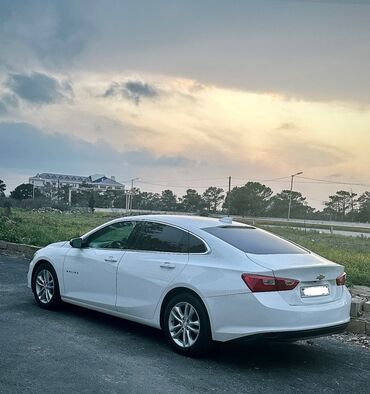Chevrolet: Chevrolet Malibu: 1.5 l | 2017 il 16200 km Sedan — 8