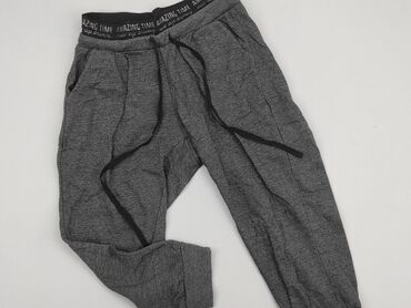 spódnice dresowe szara: Sweatpants, Janina, L (EU 40), condition - Good