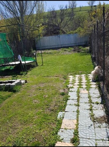 продаю дом бишкек ак орго: 7 соток, Для бизнеса, Тех паспорт