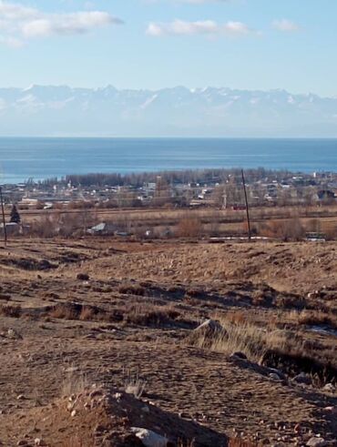 продаю дом с бизнесом: Үй, 110 кв. м, 4 бөлмө, Менчик ээси, Эски ремонт