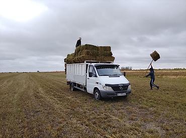Услуги грузоперевозок на Mercedes-Benz Sprinter (бортовой/фургон с