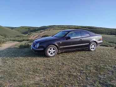 банан цлс: Mercedes-Benz CLK-Class: 1999 г., 2.3 л, Автомат, Бензин, Купе — 9