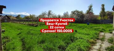 дома чалдовар: 22 соток, Курулуш, Кызыл китеп