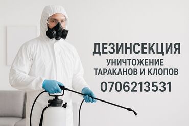 уничтожение клопов: Дезинфекция, дезинсекция, | Тараканы, | Квартиры