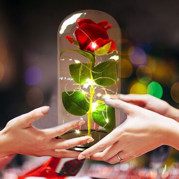 Rasveta: Poklon za Dan Zaljubljenih Vecna ruza ovaj cvet crvene ruže nikada