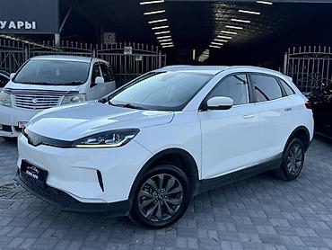 alba: Weltmeister EX5, 2021 г., 175000 км — 1