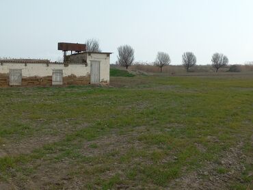 Torpaq sahələrinin satışı: Kənd təsərrüfatı — 4