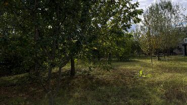 Torpaq sahələrinin satışı: 15 sot, Tikinti, Makler, Kupça (Çıxarış) — 8