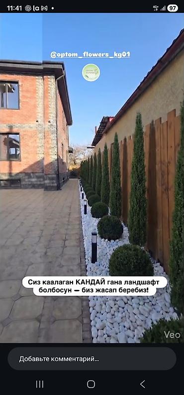 дождевальный: Ландшафтные работы и озеленение участка - Проектирование и создание — 3