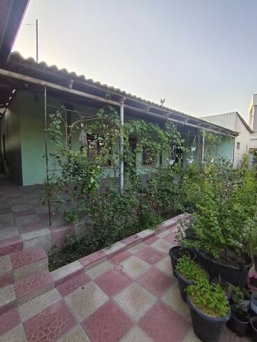 Həyət evləri və villaların satışı: 4 otaqlı, 80 kv. m, Orta təmir -da lalafo.az — 5 Həyət evləri və villaların satışı: 4 otaqlı, 80 kv. m, Orta təmir — 5