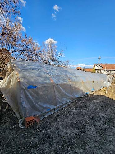 steperi za decu: Baštenski plastenik – konstrukcija sa folijom i sistemom za — 2