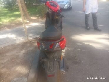 3 tekerlekli moped: Zaza - Canoe 50, 50 sm3, 8000 km