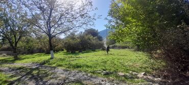 Torpaq sahələrinin satışı: 10 sot, Tikinti, Mülkiyyətçi, Kupça (Çıxarış)