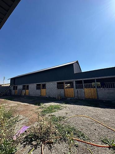 Куплю дом: 90 м², 4 комнаты — 12