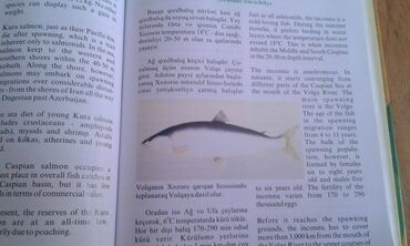 Ensiklopediyalar: Müxtəlif kitablar satılır. Biri 40 manat. "Nərəkimilər - dinozavrların -da lalafo.az — 17 Ensiklopediyalar: Müxtəlif kitablar satılır. Biri 40 manat. "Nərəkimilər - dinozavrların — 17