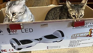 astro bot: Özünətarazlı elektrik skuter (hoverboard) segway – kosmos temalı — 5