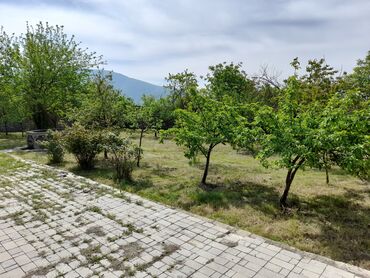 Günlük kirayə evlər: 250 kv. m, 5 otaqlı, İşıq, Su, Telefon -da lalafo.az — 16 Günlük kirayə evlər: 250 kv. m, 5 otaqlı, İşıq, Su, Telefon — 16