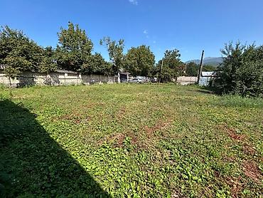 Torpaq sahələrinin satışı: 8 sot, Tikinti, Maklerlər narahat etməsin, Kupça (Çıxarış) -da lalafo.az — 8 Torpaq sahələrinin satışı: 8 sot, Tikinti, Maklerlər narahat etməsin, Kupça (Çıxarış) — 8