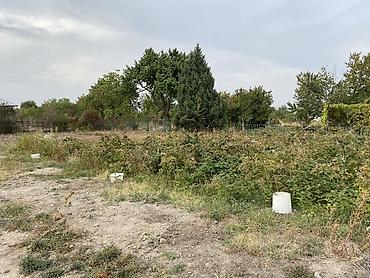 5 соток, Для сельского хозяйства
