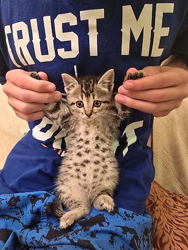 ток сатам: 🐾 Ищем семью для маленького чуда ❤️ Эту малышку нашли совсем крошкой — 3