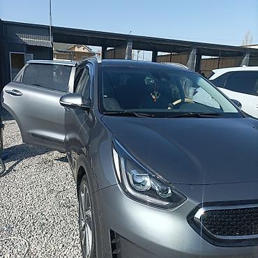 Kia: Kia Niro: 2018 г., Автомат, Гибрид, Кроссовер — 11