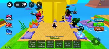 диск на плейстейшн: Игровой аккаунт Roblox с прокачкой и набором платных привилегий. Что