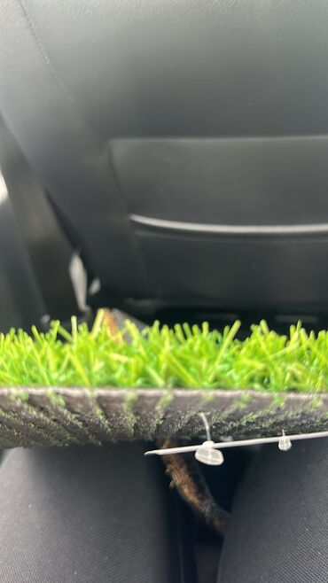 Газон: Газон Газон декор любые размеры — 8