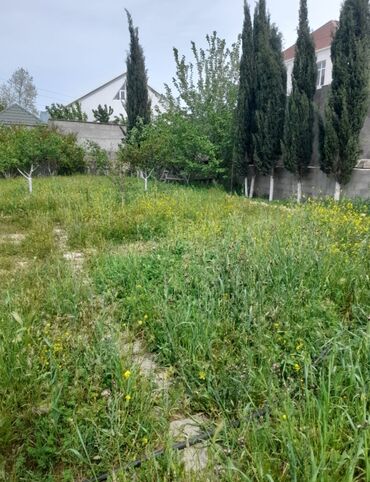 Torpaq sahələrinin satışı: 3 sot, Tikinti, Bələdiyyə