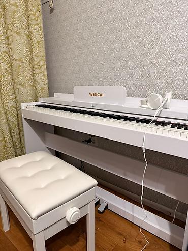 Пианино: Полноактавное акустическое пианино, цветной понятный дисплей, вы — 28