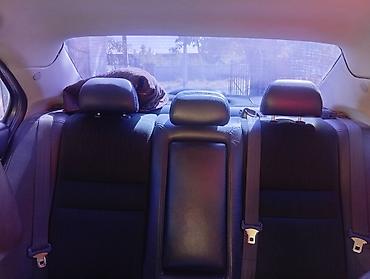 super cub: Honda Accord: 2006 г., 2.4 л, Автомат, Газ, Седан — 5