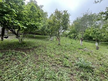 Torpaq sahələrinin satışı: 7 sot, Tikinti, Mülkiyyətçi, Kupça (Çıxarış) -da lalafo.az — 2 Torpaq sahələrinin satışı: 7 sot, Tikinti, Mülkiyyətçi, Kupça (Çıxarış) — 2