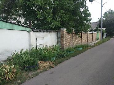 таатан рынок: 4 соток — 1
