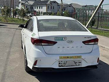 аварийный соната: Hyundai Sonata: 2019 г., 2 л, Автомат, Газ, Седан — 9