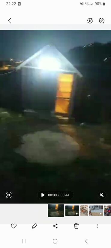 йоркширский терьер цена баку: Qus dami qiymeti 150 manat 0554861378