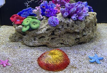 qrunt: Okean akvarium aksesuarlari . Teze Dalgamer 3 watt 120 litri gorur