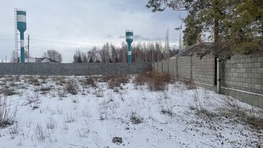 село виноград: 6 соток, Для строительства, Договор дарения, Красная книга