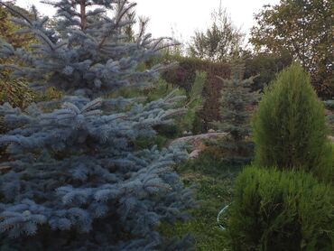 Продажа домов: Дом, 69 м², 5 комнат, Собственник — 4