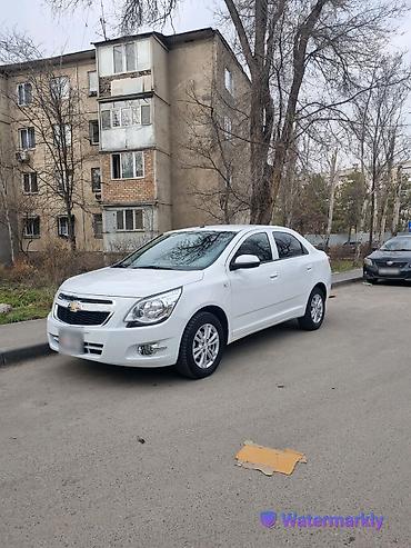 шевроле коболт: Chevrolet Cobalt: 2024 г., 1.5 л, Автомат, Бензин, Седан — 1