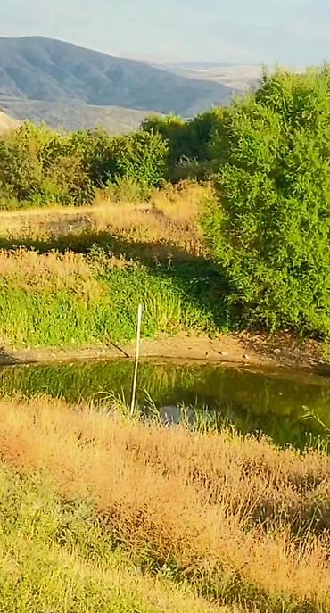 Daşınmaz əmlak: 1100 sot, Tikinti, Maklerlər narahat etməsin, Kupça (Çıxarış) — 7