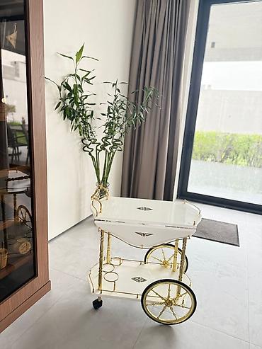 Salon, tibbi mebel: Zərif dizaynlı servis/çay arabası - Rəng: ağ korpus, qızılı detallar — 2