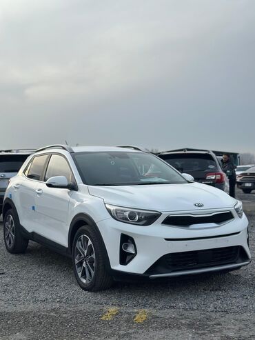 Kia: Kia Stonic: 2019 г., 1.4 л, Автомат, Бензин, Кроссовер — 6