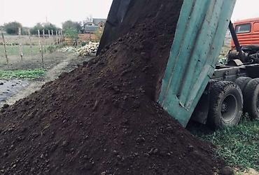 продать ковер бу: Qara meşə torpağı, kübrə əvəzi Yanmış peyin Şamaxı İsmayıllı — 3
