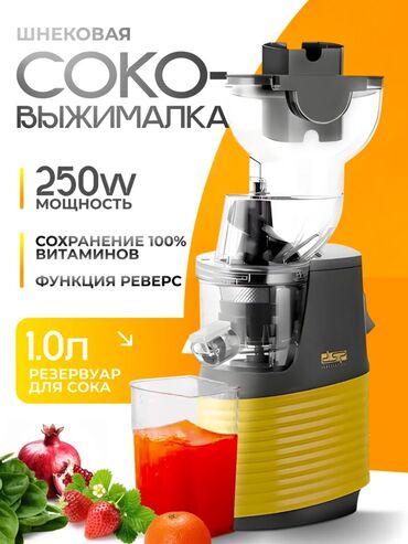 профессиональный блендер: Основные характеристики: Тип: шнековая Бренд: DSP Модель: KJ3071