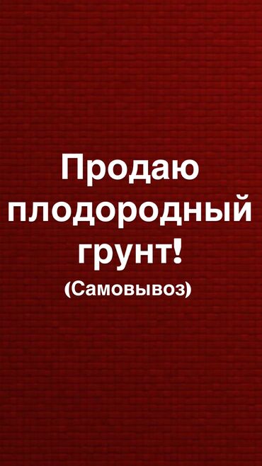 продаю бутылки: Продаю плодородный грунт!Самовывоз.Цена договорная