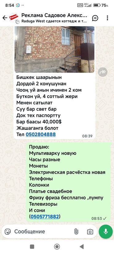 бесплатные хомяки: ПРОДАЮ