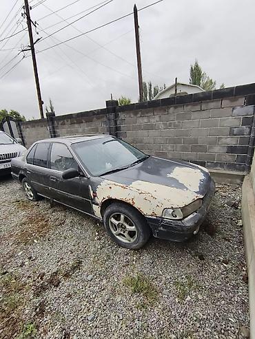 Продажа авто: Honda Accord: 1990 г., Механика, Седан — 2