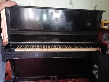 Pianolar: Piano, Akustik