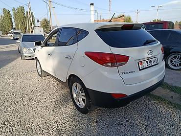 парковочная автовизитка: Hyundai Tucson: 2010 г., 2 л, Автомат, Дизель, Кроссовер — 2