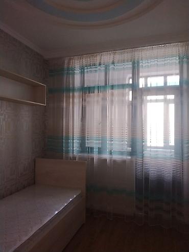 Квартиры: 3 комнаты, Агентство недвижимости, Можно с животными, от 1 года, от 3 месяцев, от 6 месяцев, С мебелью полностью — 4